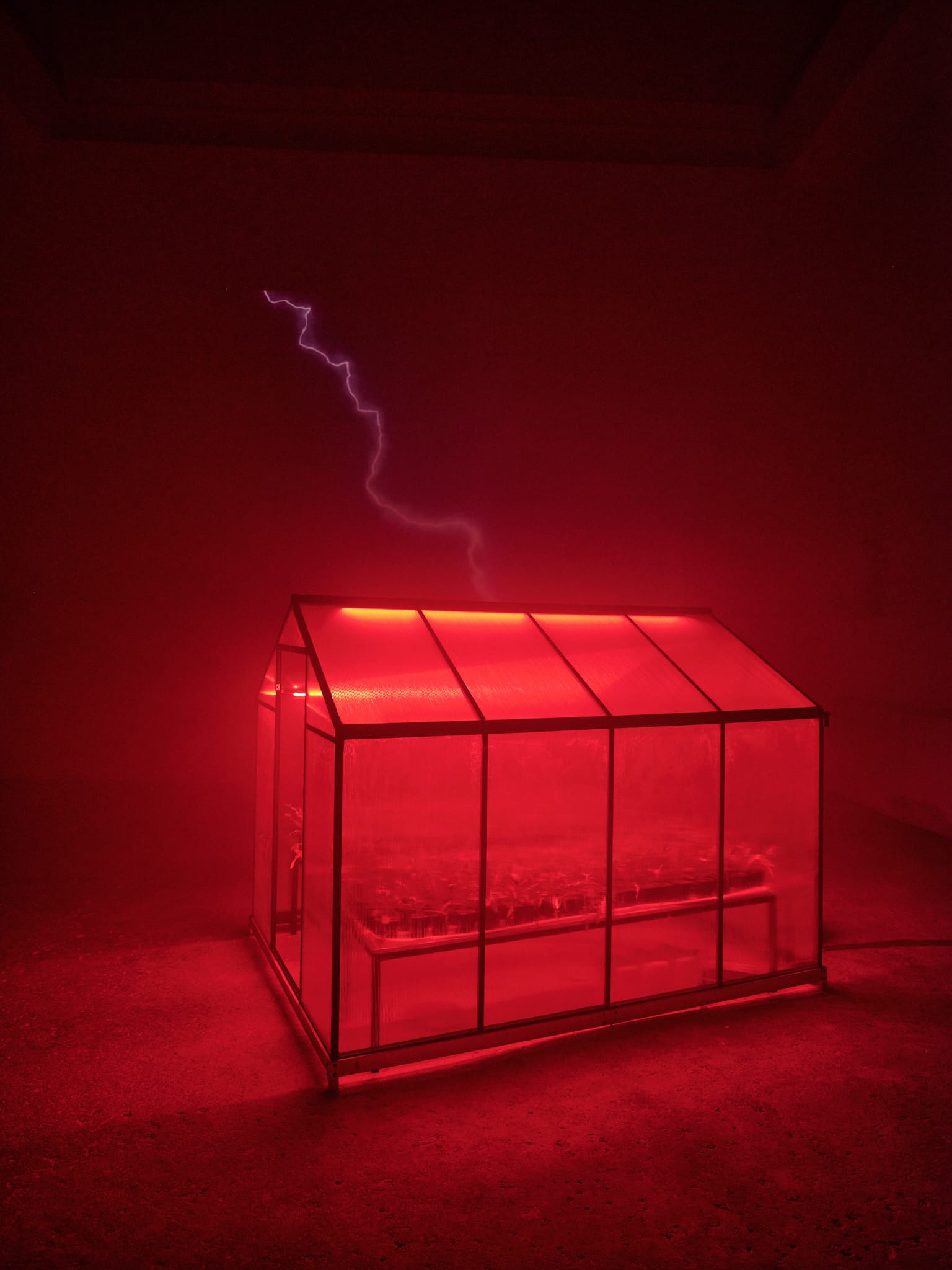 Art & Installations — OMG, Franck! gallery 2