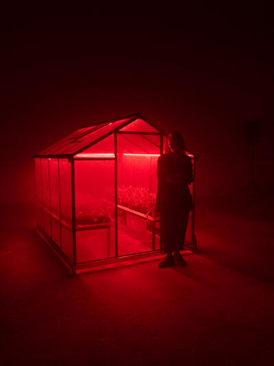 OMG, Franck! 2025 carousel image 31